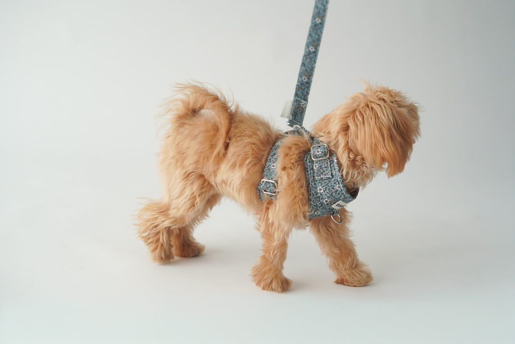 ARNÉS PARA PERROS PARIS