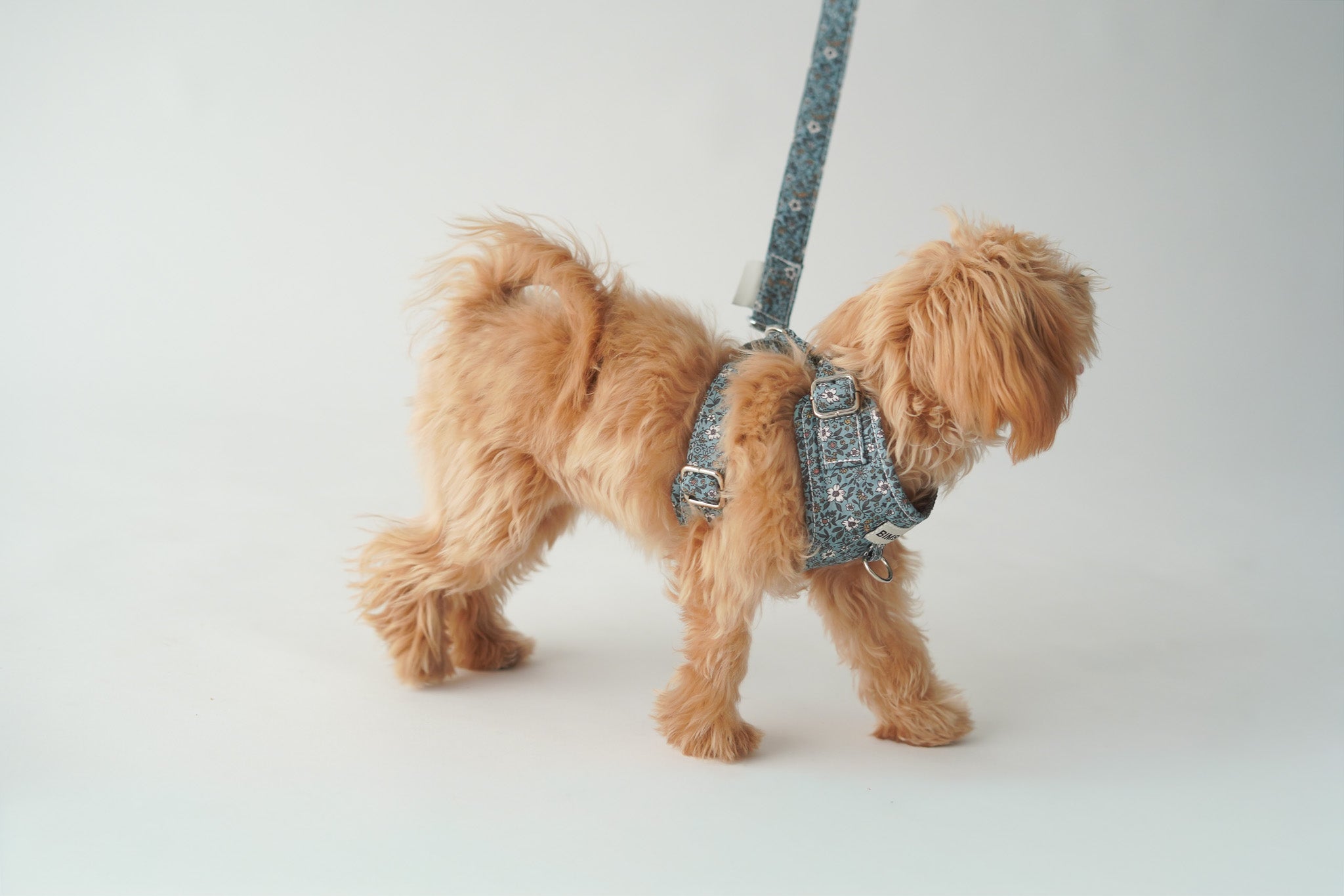 ARNÉS PARA PERROS PARIS