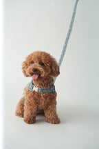 ARNÉS CHALECO PARIS