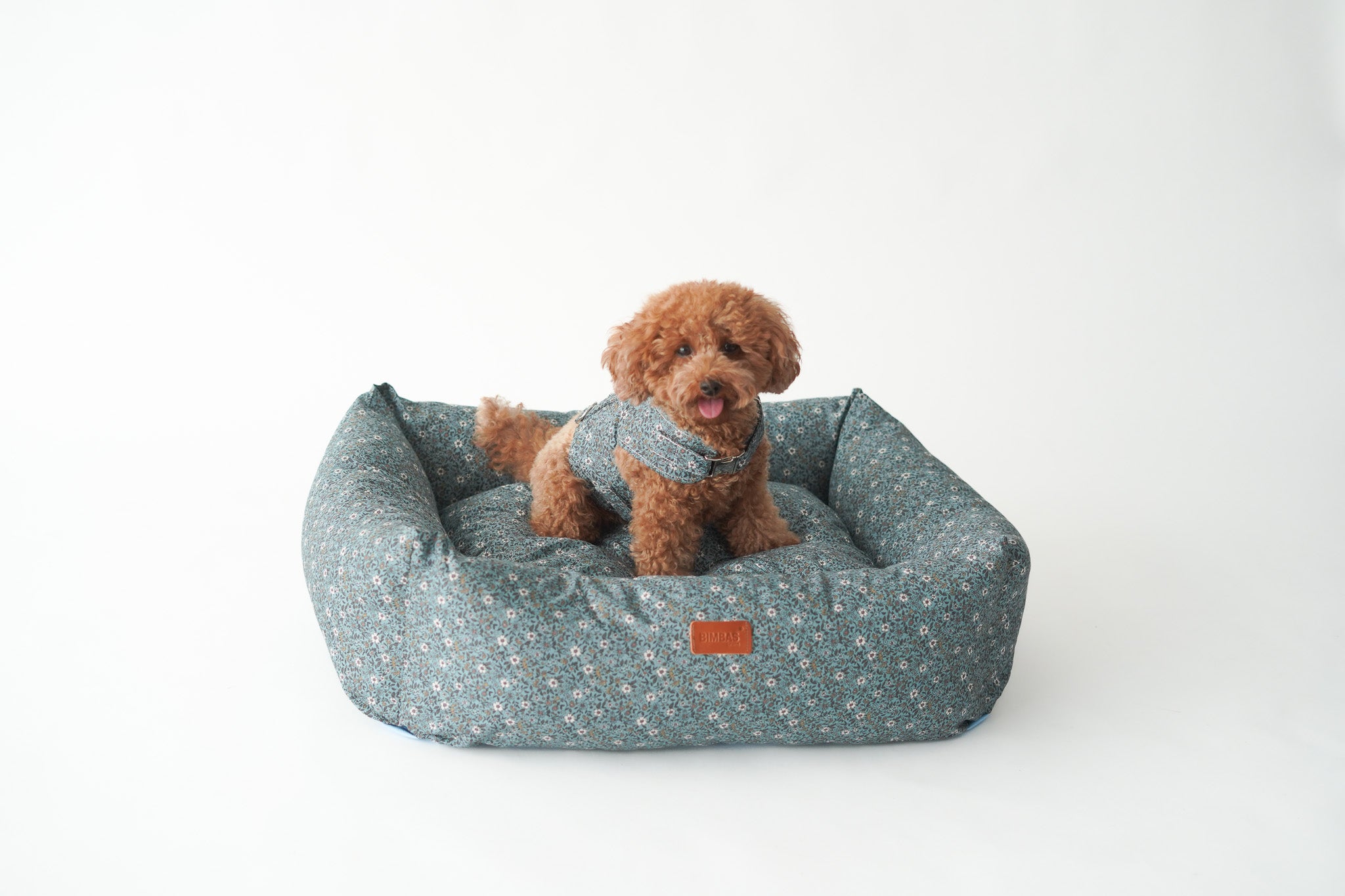 CAMA PARA PERROS DESENFUNDABLE PARIS