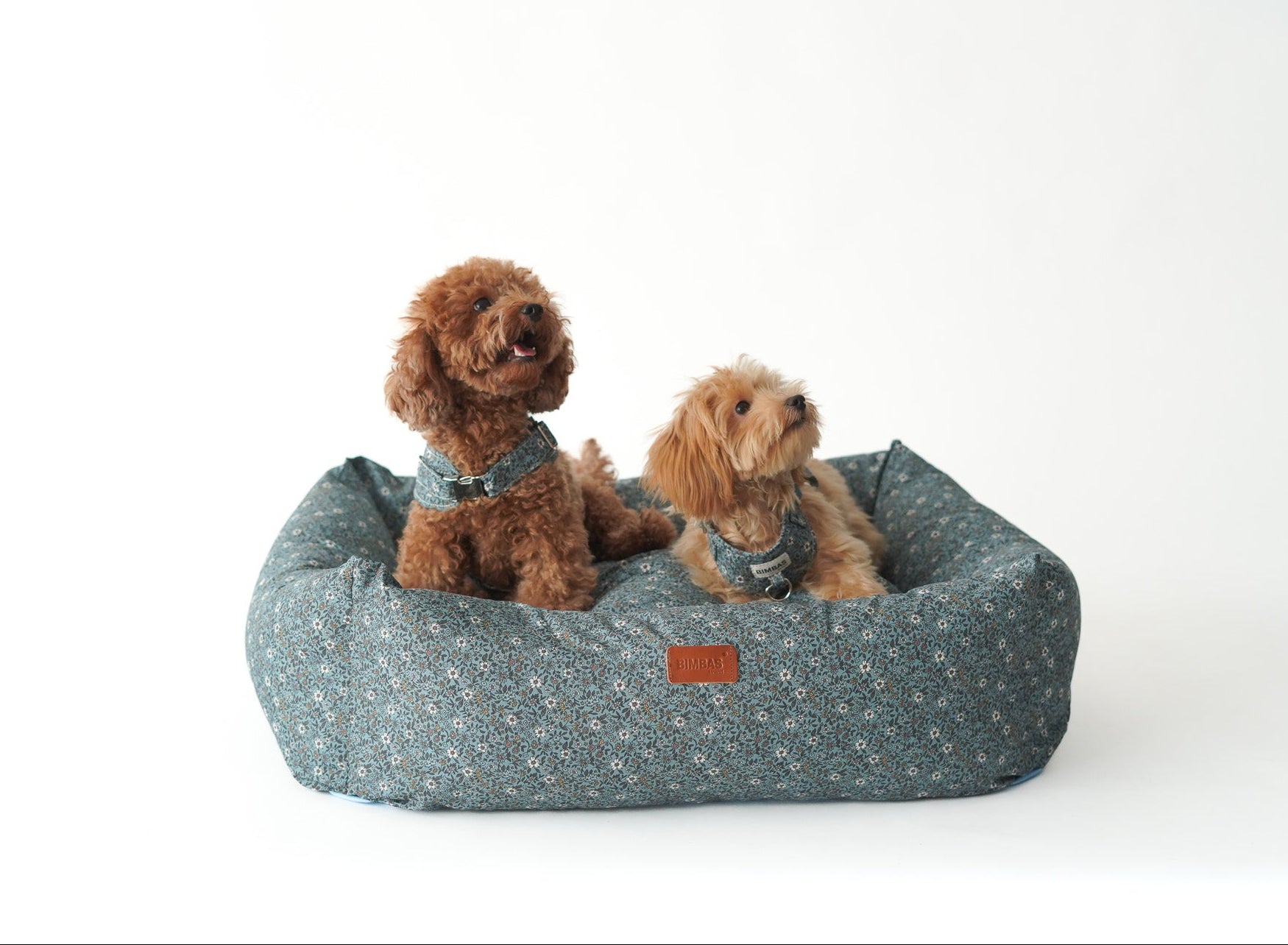 CAMA PARA PERROS DESENFUNDABLE PARIS