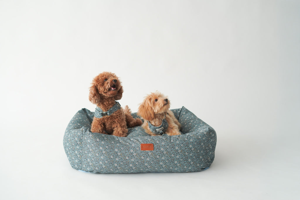 CAMA PARA PERROS DESENFUNDABLE PARIS