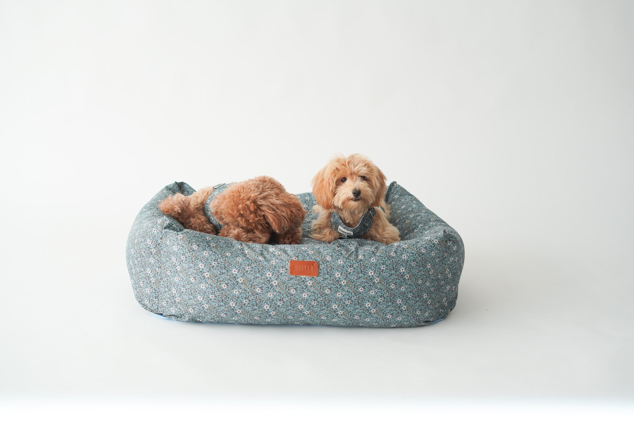 CAMA PARA PERROS DESENFUNDABLE PARIS