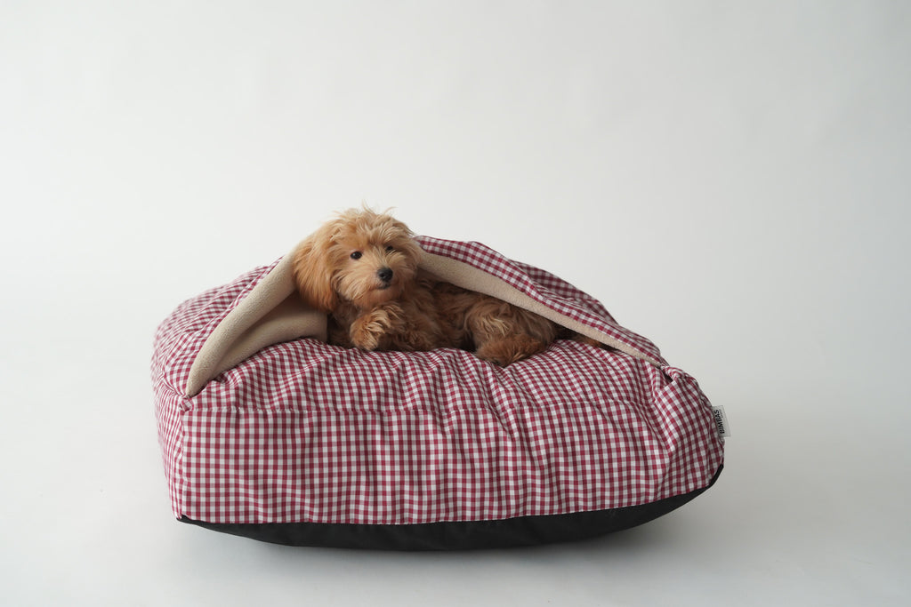 CAMA PARA PERROS DESENFUNDABLE CON MANTA