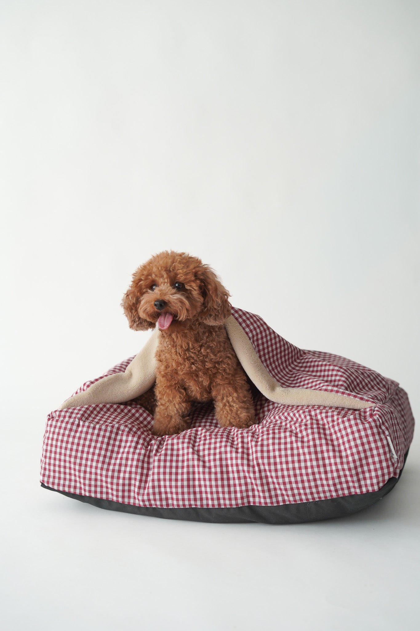 CAMA PARA PERROS DESENFUNDABLE CON MANTA