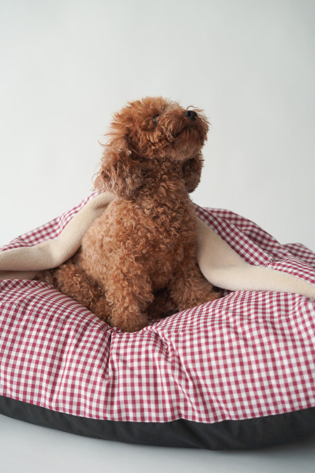 CAMA PARA PERROS DESENFUNDABLE CON MANTA