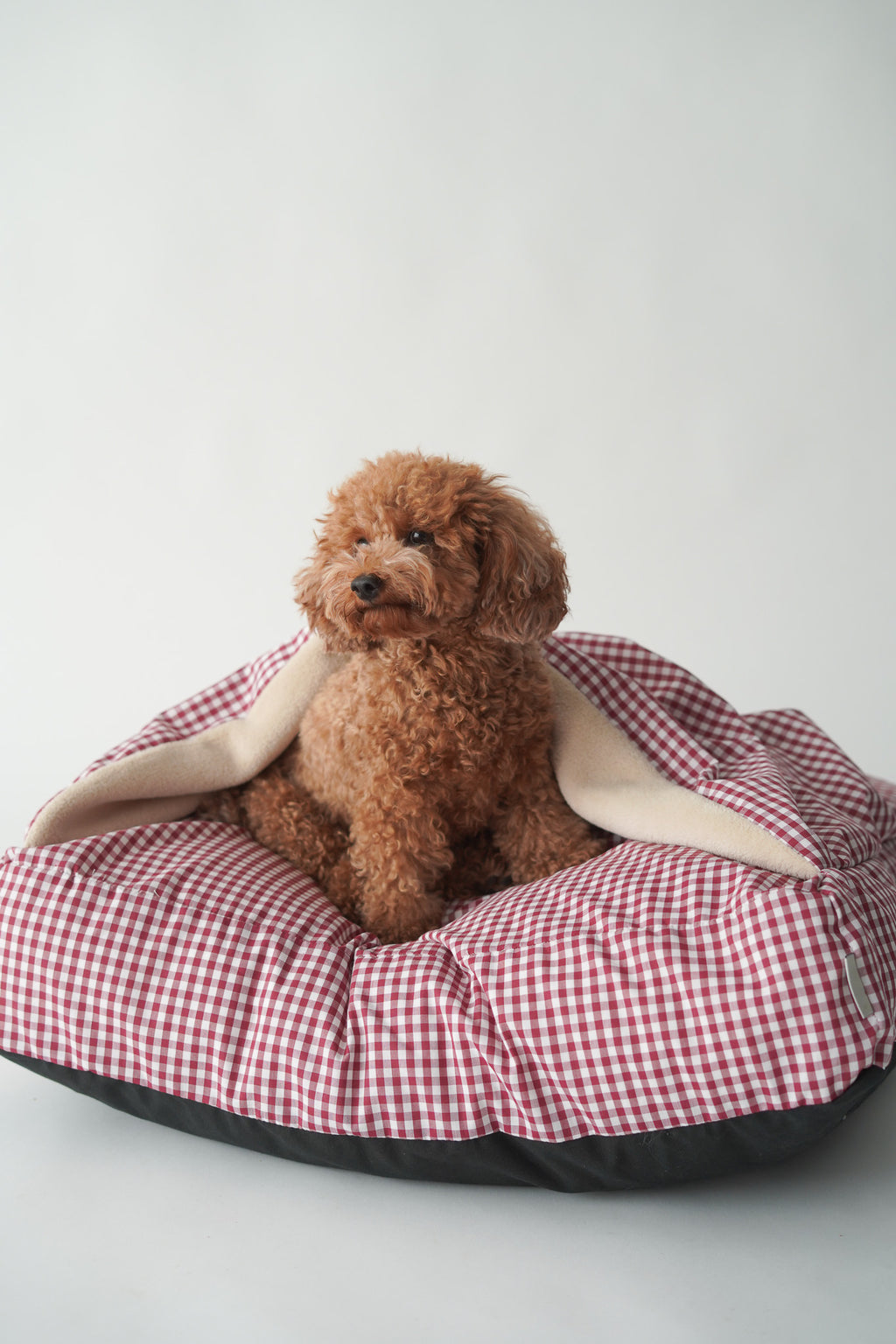 CAMA PARA PERROS DESENFUNDABLE CON MANTA