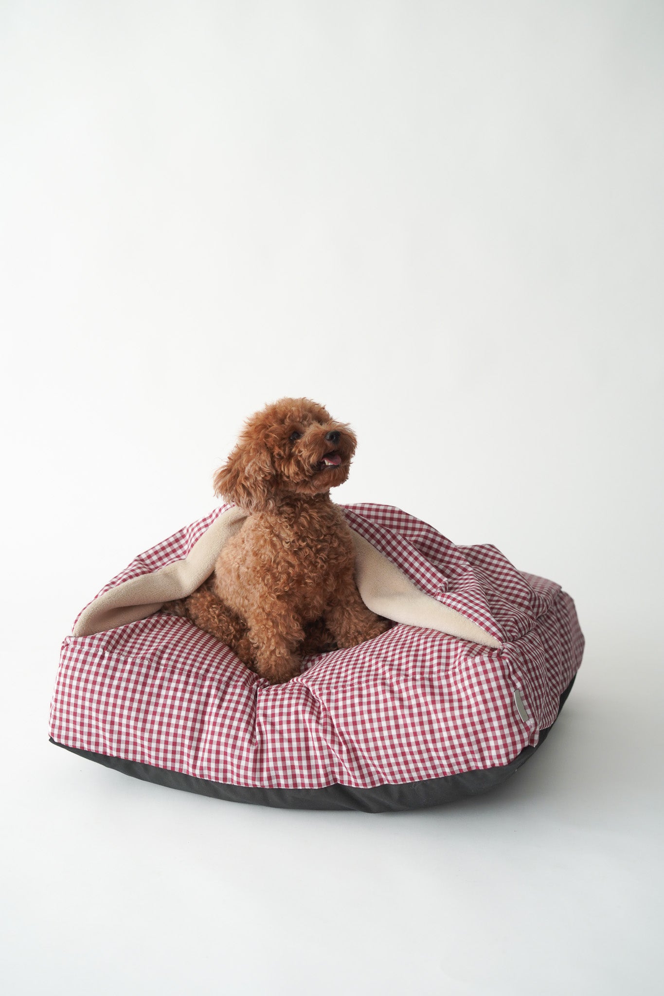 CAMA PARA PERROS DESENFUNDABLE CON MANTA