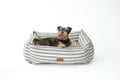 CAMA PARA PERROS DESENFUNDABLE STRIPES