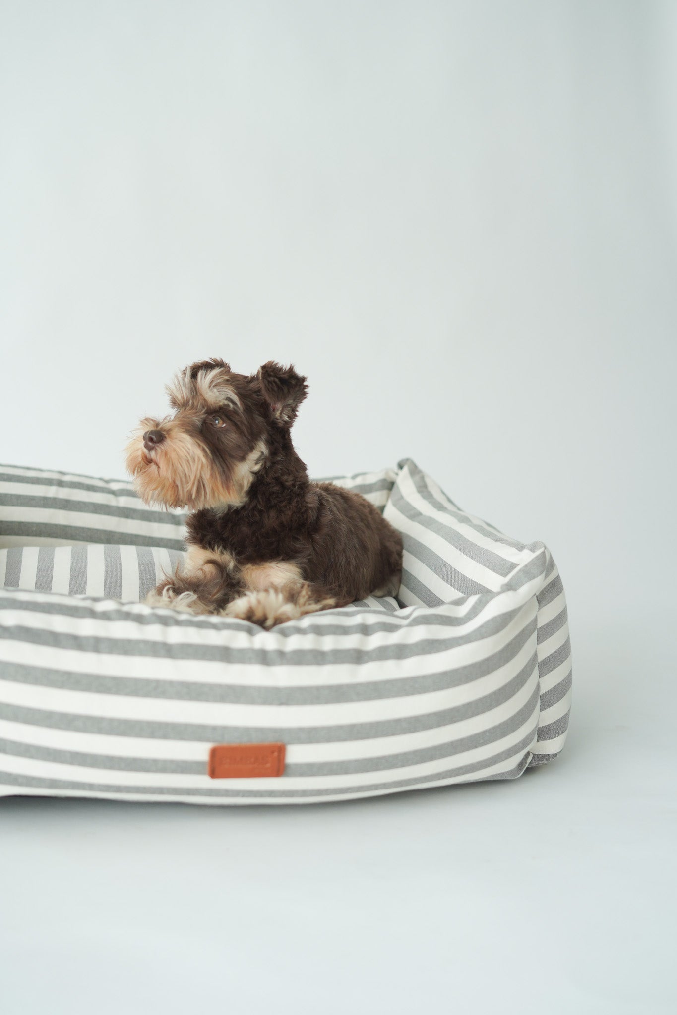 CAMA PARA PERROS DESENFUNDABLE STRIPES