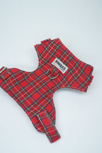 ARNÉS PARA PERROS LONDRES