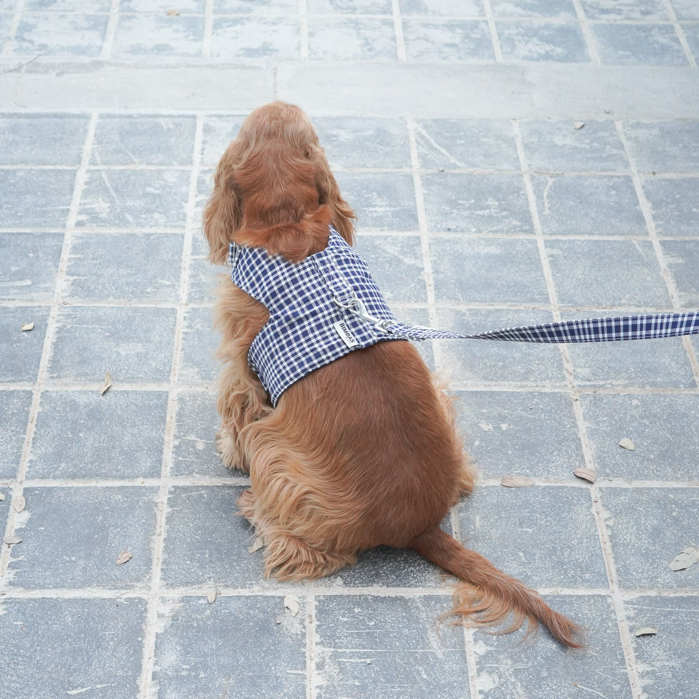 ARNÉS PARA PERROS FALLAS