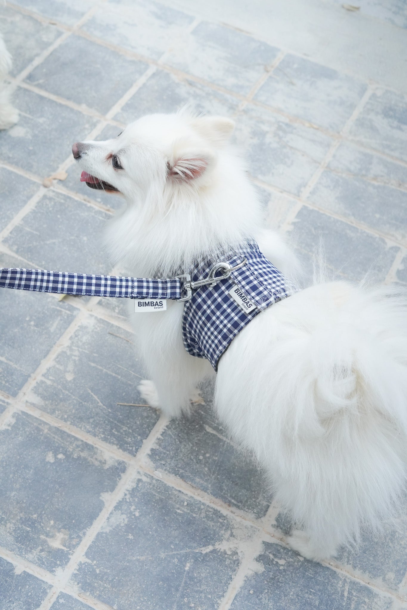 ARNÉS PARA PERROS FALLAS