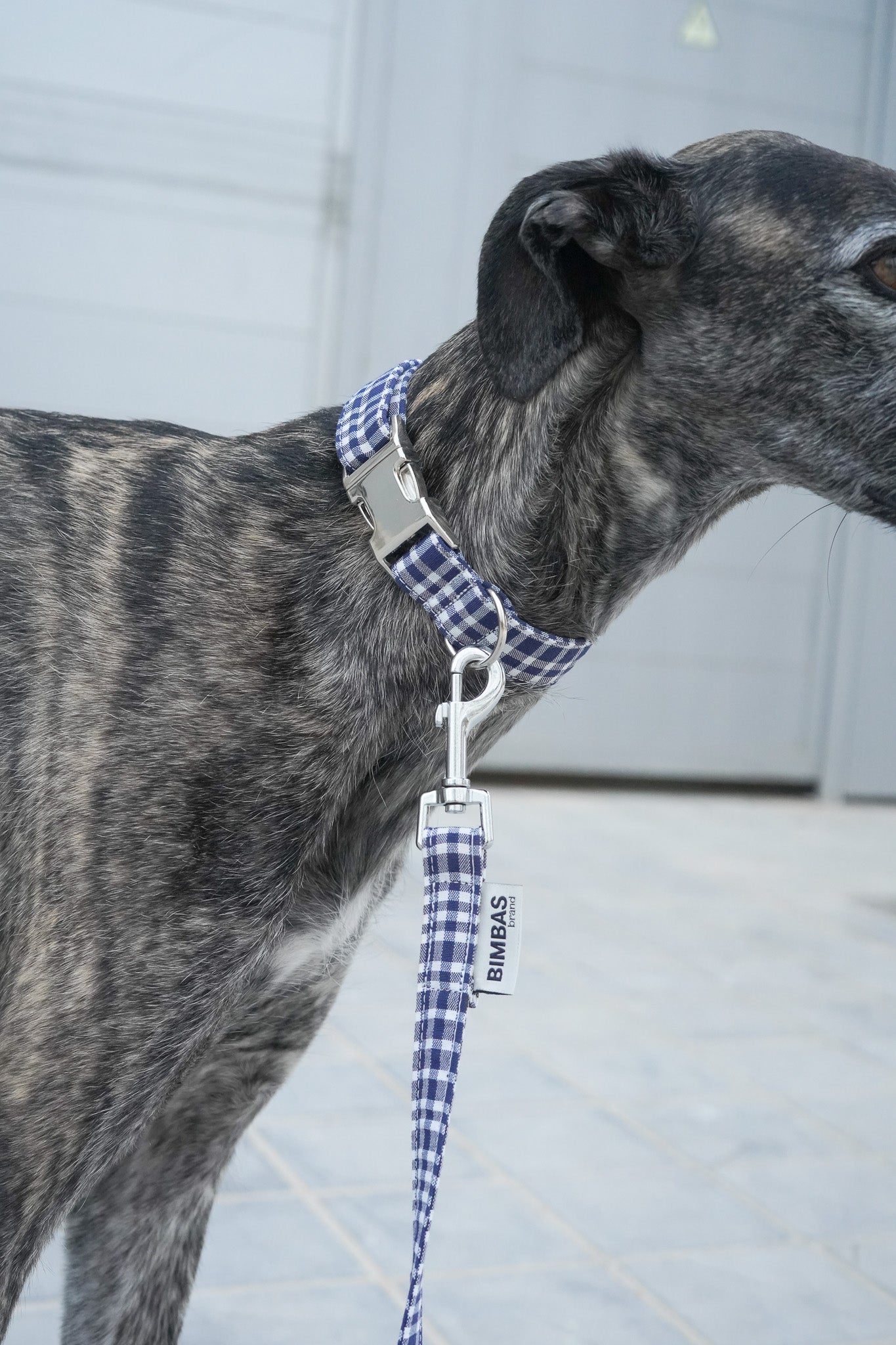 COLLAR PARA PERROS FALLAS