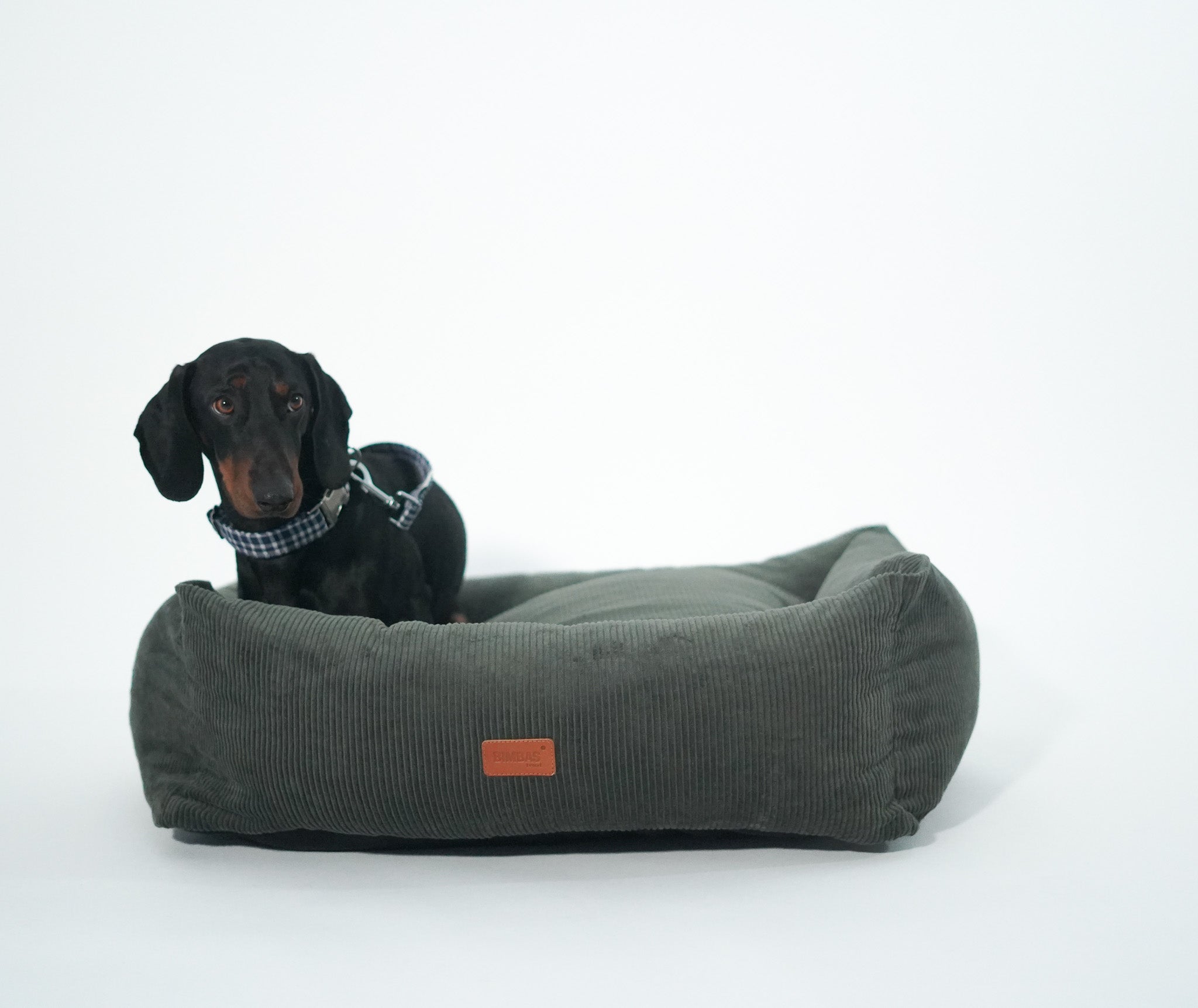 Cama para perros pana verde desenfundable