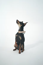 Collar piel perros beige