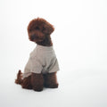 Jersey para perros beige
