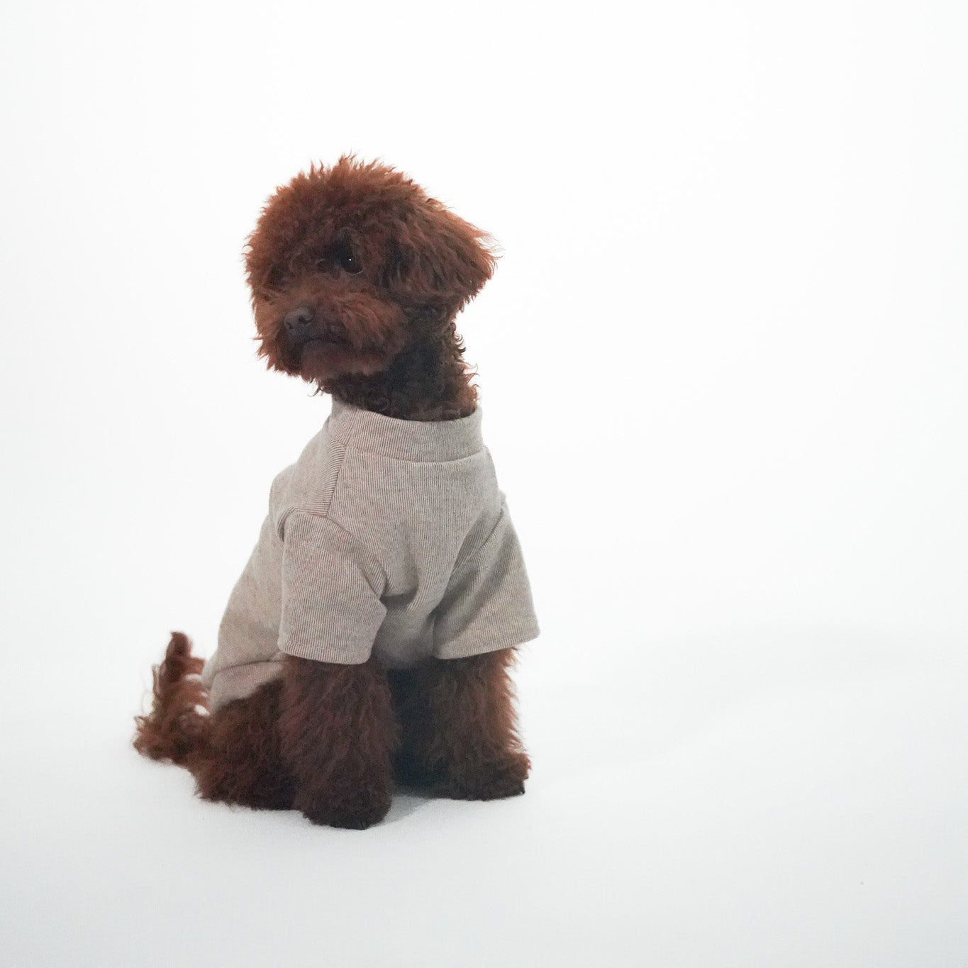 Jersey para perros beige