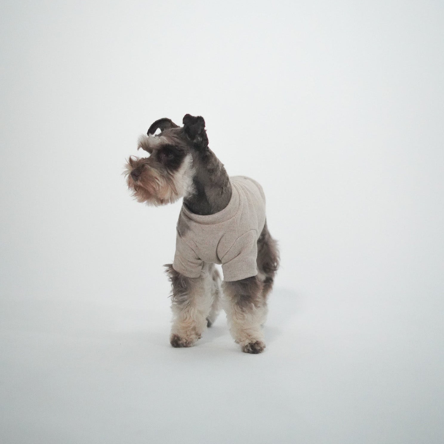 Jersey para perros beige