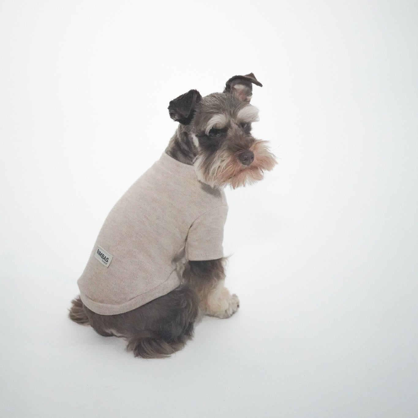 Jersey para perros beige