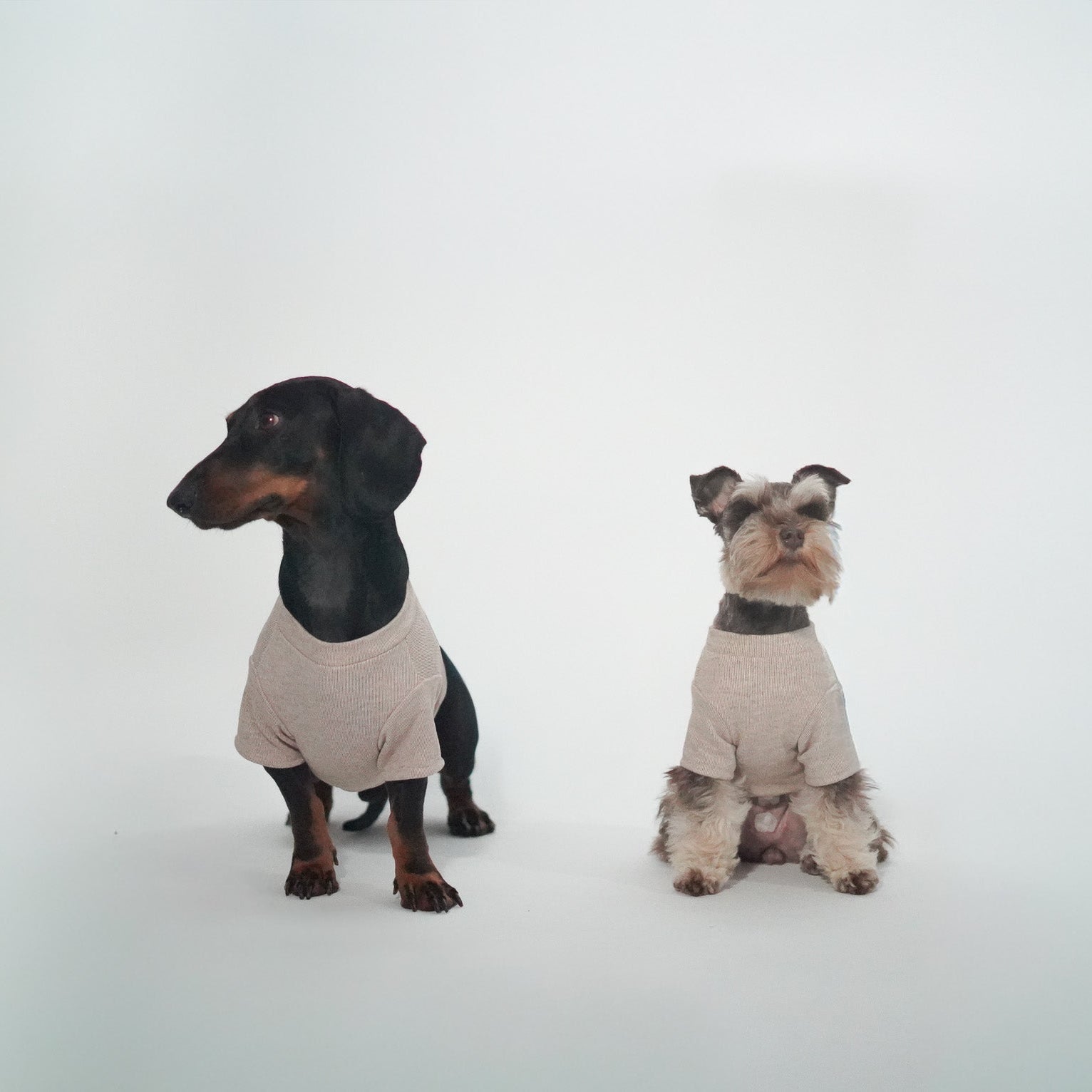 Jersey para perros beige