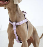 ARNÉS EN Y VICHY LILA