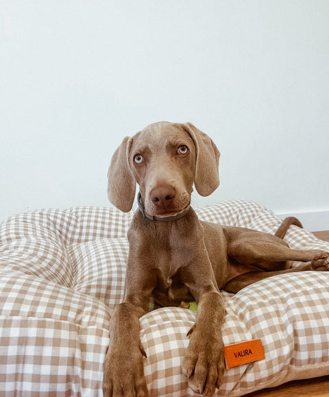 Cama para perros Vichy beige