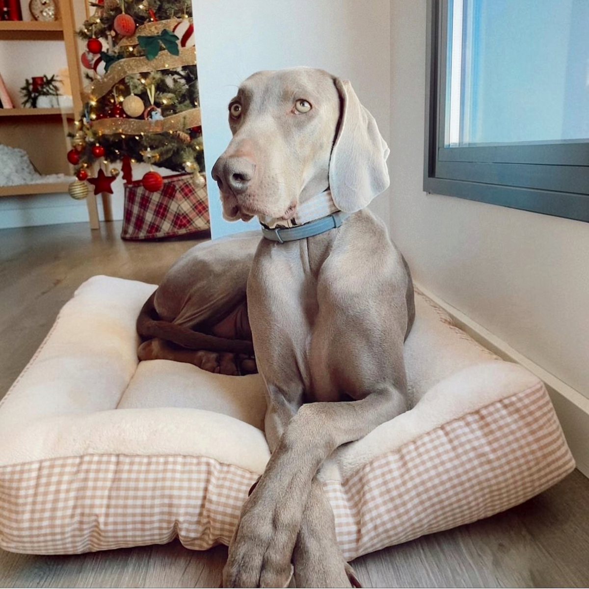 Cama para perros reversible Vichy beige