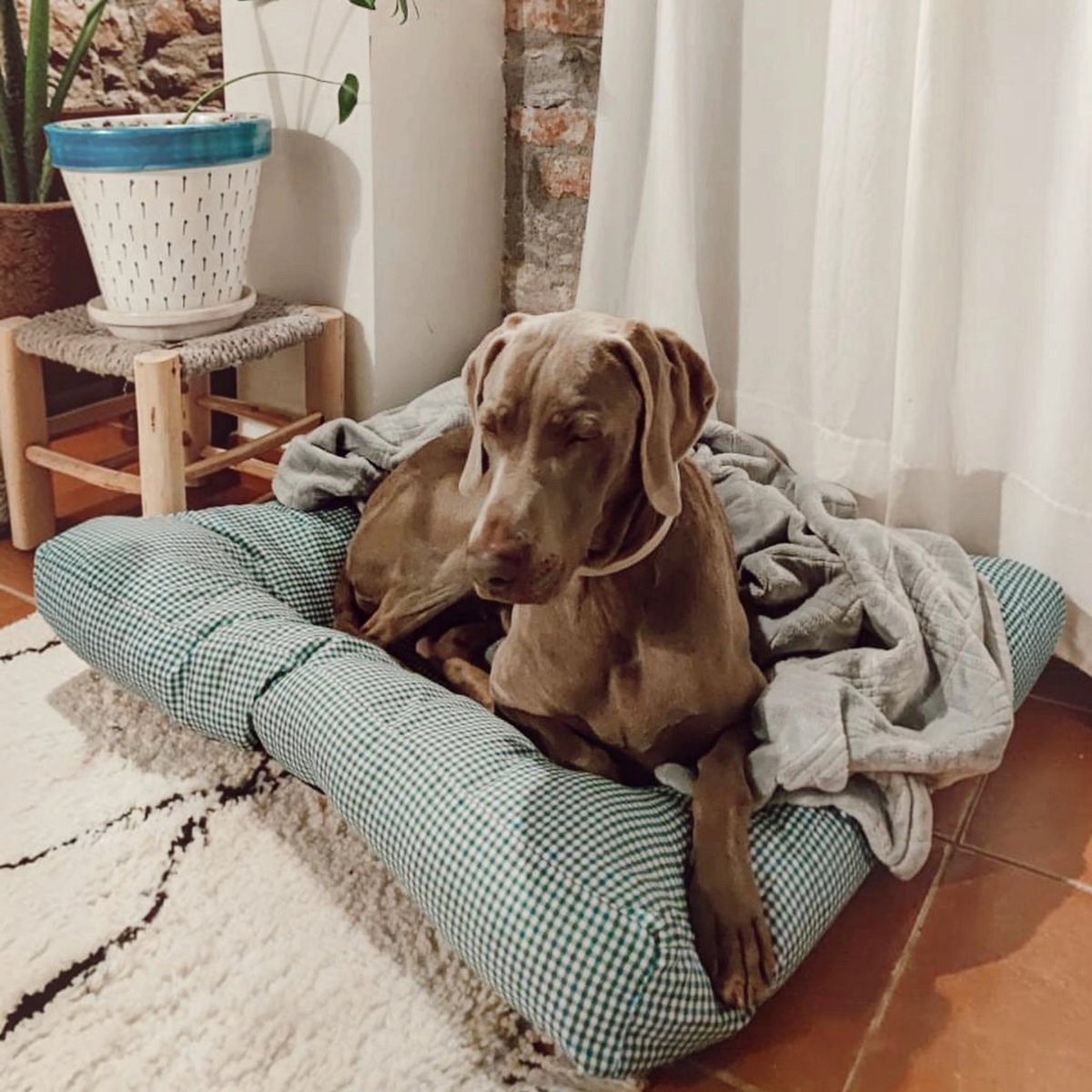 Cama para perros reversible Vichy verde