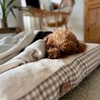 Cama para perros reversible Vichy beige