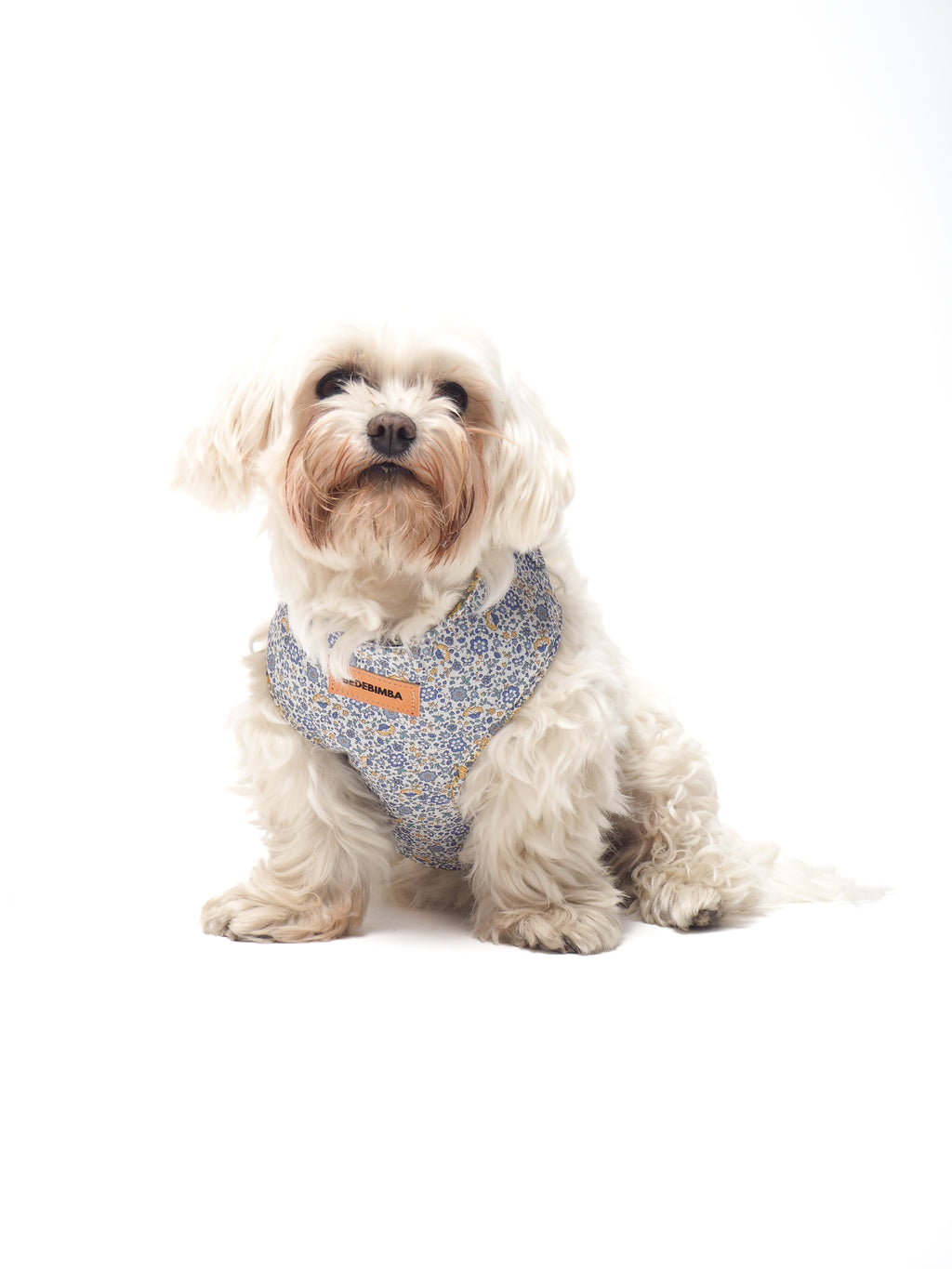 ARNÉS PARA PERROS CAPRI