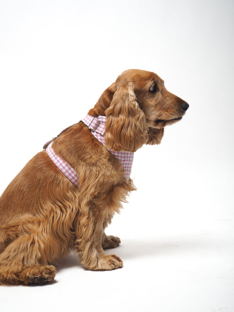 Arnés para perros Vichy rose