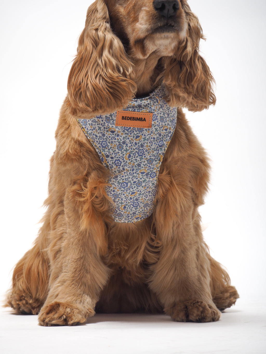 ARNÉS PARA PERROS CAPRI