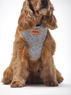 ARNÉS PARA PERROS CAPRI