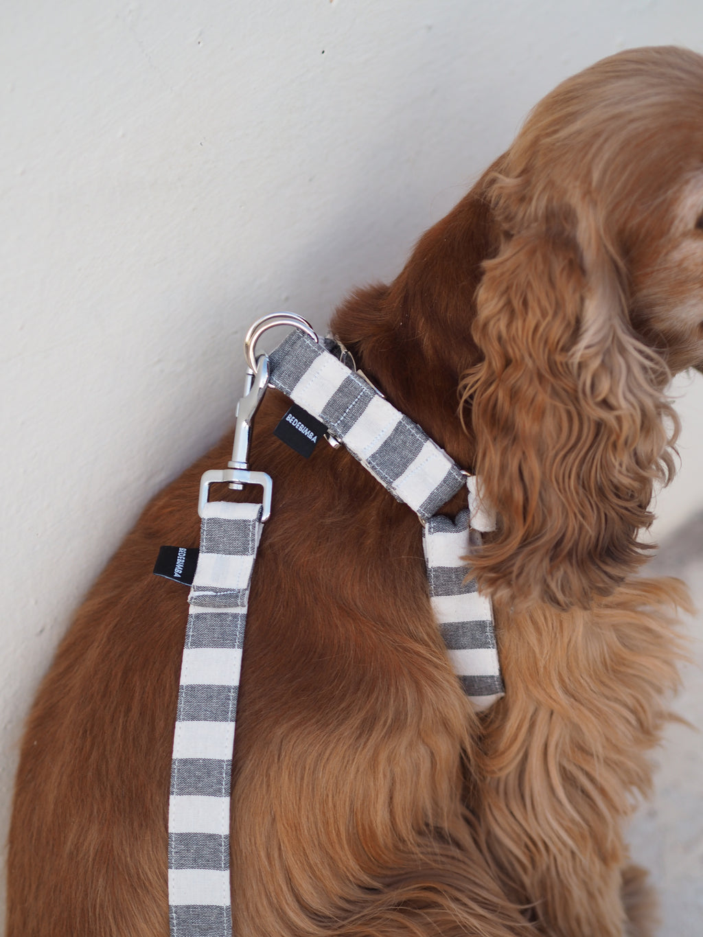 ARNÉS EN Y BLACK STRIPES