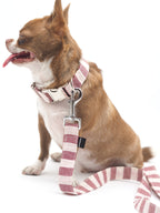 COLLAR PARA PERROS RED STRIPES