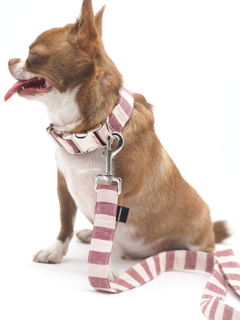 Collar para perros Red Stripes