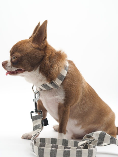 Collar para perros Black Stripes