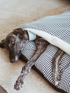 CAMA PARA PERROS DESENFUNDABLE CON MANTA