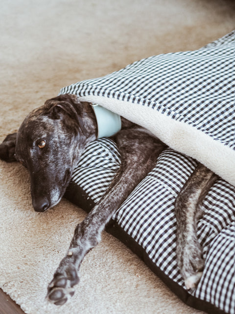 Cama para perros con manta