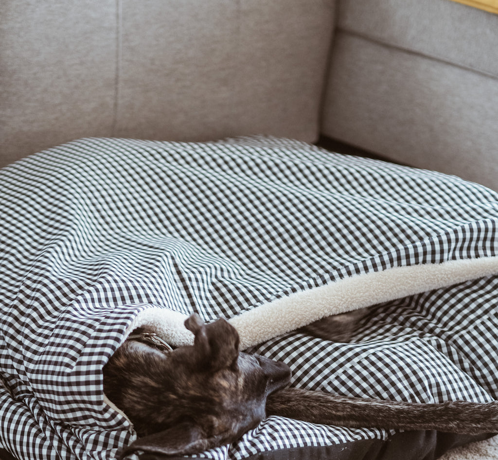 CAMA PARA PERROS DESENFUNDABLE CON MANTA