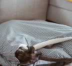 CAMA PARA PERROS DESENFUNDABLE CON MANTA