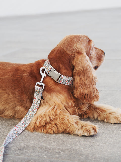 Collar para perros Flores