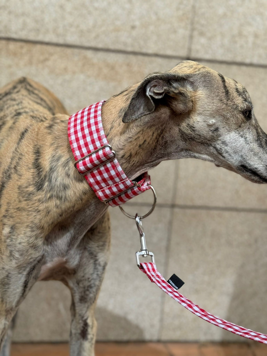 MARTINGALE VICHY ROJO