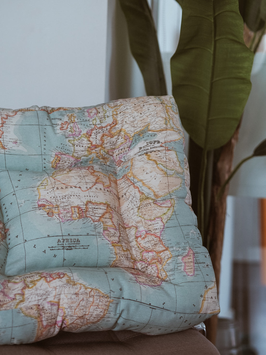 CAMA PARA PERROS MAPAMUNDI