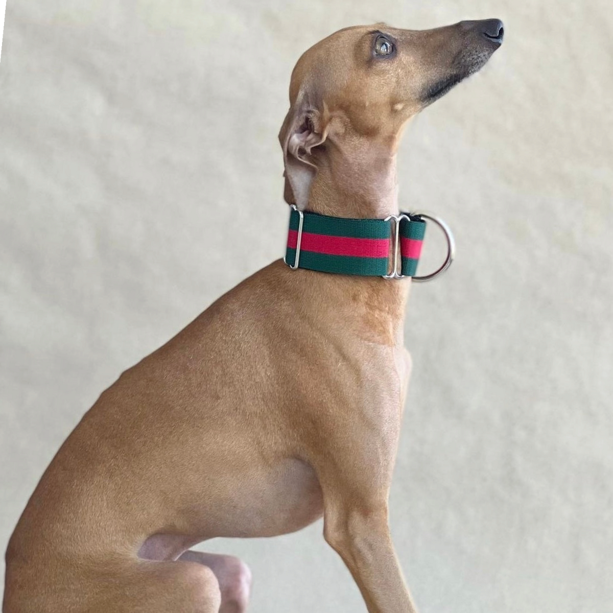 Martingale italia