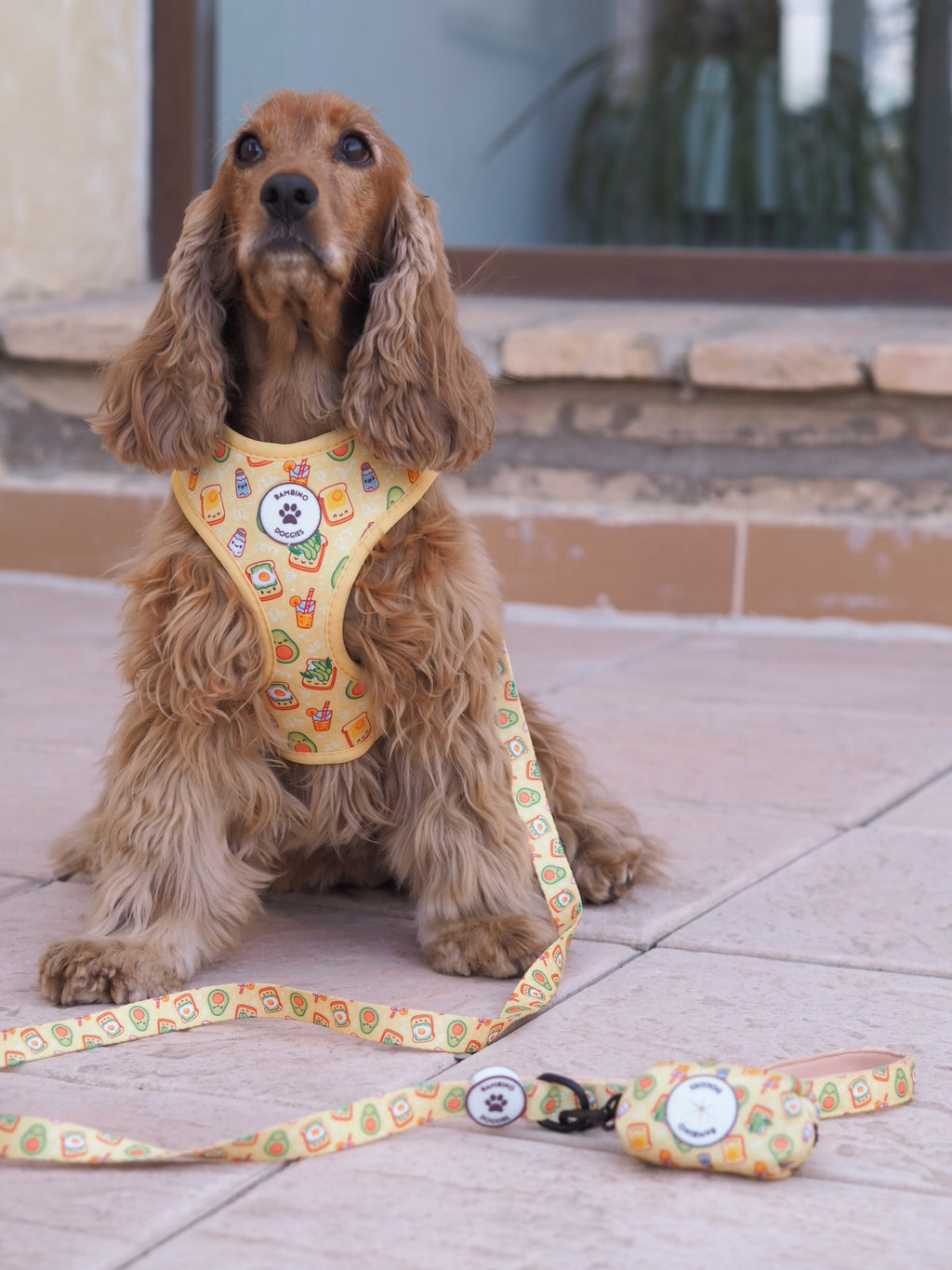 Arnés ajustable Breakfast - BAMBINO DOGGIES