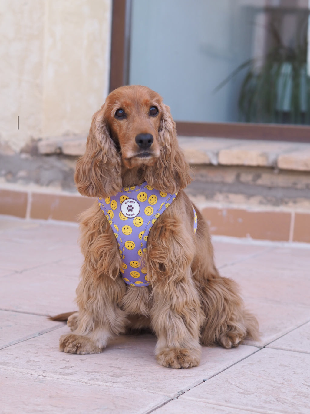 Arnés ajustable Smile - BAMBINO DOGGIES