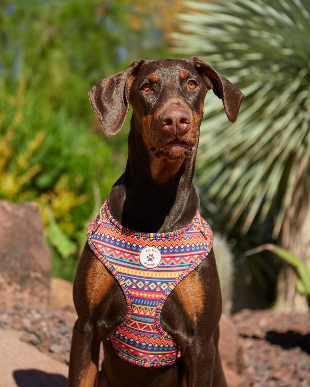 Arnés ajustable Etnic - BAMBINO DOGGIES