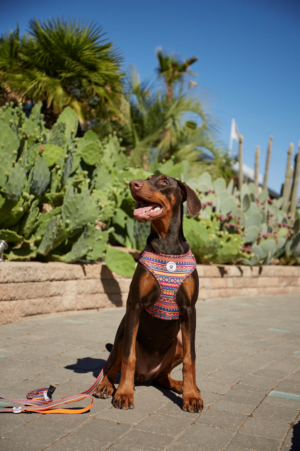 Arnés ajustable Etnic - BAMBINO DOGGIES